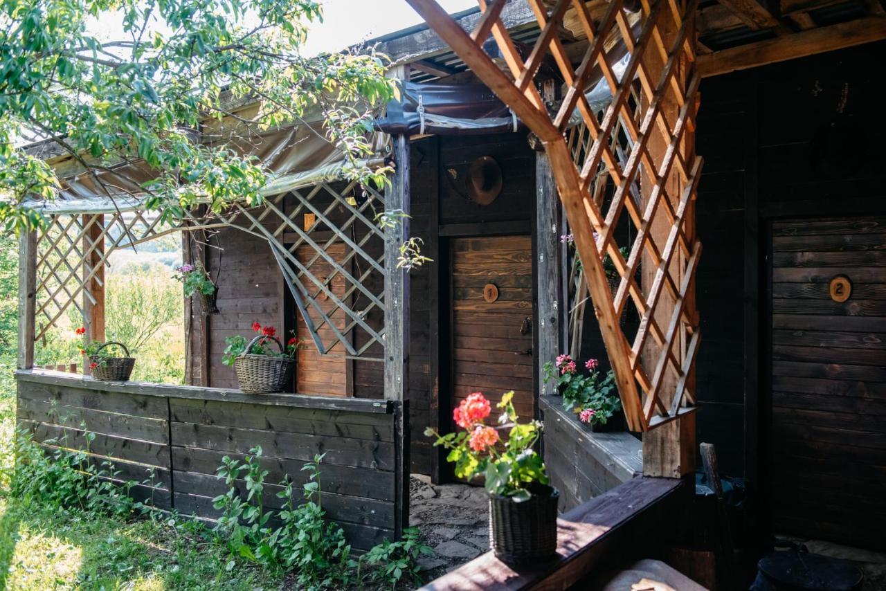 Zagroda Chryszczata Smolnik  المظهر الخارجي الصورة
