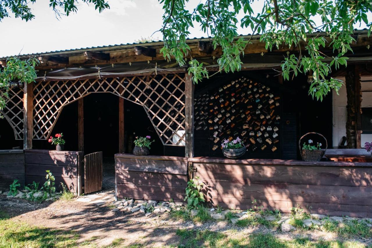Zagroda Chryszczata Smolnik  المظهر الخارجي الصورة